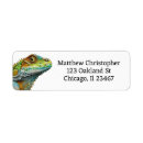 Search for lizard return address labels Iguana