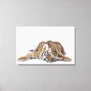 Search for animals in captivity posters Studio shot