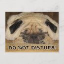 Search for disturb postcards Funny
