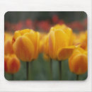 Search for spring tulips mousepads Flora