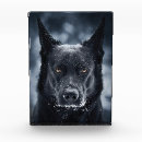 Search for german shepherd photo display Dog