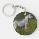 Search for arabs key rings Equestrian