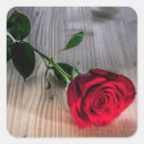 Search for wood background stickers Red