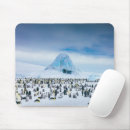 Search for emperor mousepads Animals in the wild