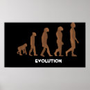Search for evolution chart posters Humour