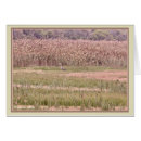 Search for wetlands cards Birds