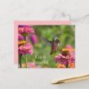 Search for zinnia flower postcards Flowers