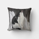 Search for black and white cat cushions Kitten