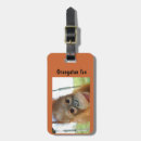 Search for orangutans accessories Wildlife
