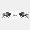 Search for bison bumper stickers Yellowstone