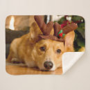Search for christmas corgi blankets Puppy