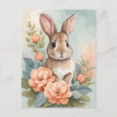Search for bunnie postcards Animals