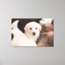 Search for cute animal canvas prints Dog