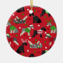 Search for giant christmas tree decorations Pets