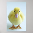 Search for duck nursery posters Yellow