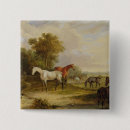 Search for stallion horse accessories Grey