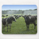 Search for holstein mousepads Cows