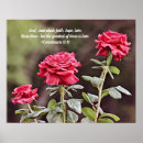 Search for three roses posters Red rose