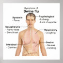 Search for flus posters Swine flu