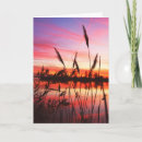 Search for reeds cards Marsh