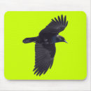 Search for raven designs electronics Bird