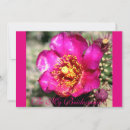 Search for cactus flower invitations Party