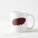 Search for cockroach mugs Animals