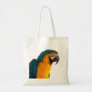 Search for parrots accessories Photography