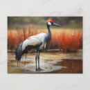 Search for watercolor pictures postcards Animal