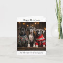 Search for great dane cards Puppies