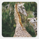 Search for giraffe face stickers Animal
