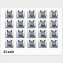 Search for blue cat stickers Nebelung