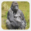 Search for gorillas stickers Africa