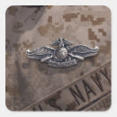 Search for fleet stickers Insignia