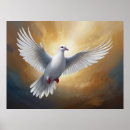 Search for white dove posters Holy spirit