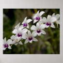 Search for sanskrit posters Asian