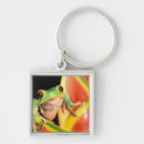 Search for amazons key rings Green