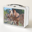 Search for barn kitchen dining Horseback riding