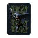 Search for grappling magnets Batman