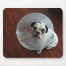 Search for voice mousepads Funny