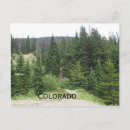 Search for evergreen tree postcards Trees