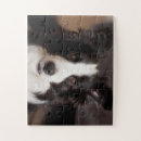 Search for border collie gifts Fun