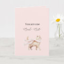 Search for scarf cards Cat