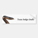 Search for snake bumper stickers Texas