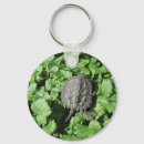 Search for baby turtle key rings Reptile