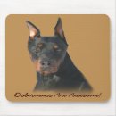 Search for dobermans electronics Puppies
