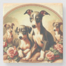 Search for greyhound coasters Dog