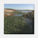 Search for seashore magnets Landscape