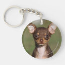 Search for looking at camera key rings Canine photographer