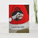 Search for ferret christmas cards Cute